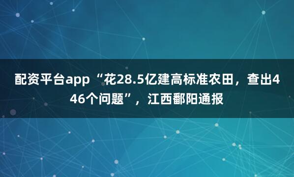 配资平台app “花28.5亿建高标准农田，查出446个问题”，江西鄱阳通报