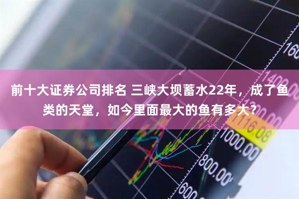 前十大证券公司排名 三峡大坝蓄水22年，成了鱼类的天堂，如今里面最大的鱼有多大？